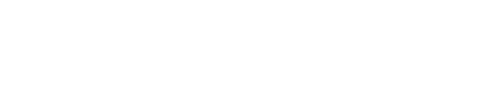 NA-KD-white-logo