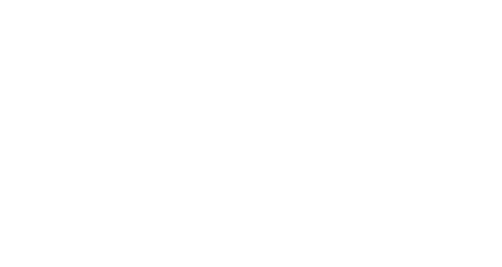 North-Face-logo-white