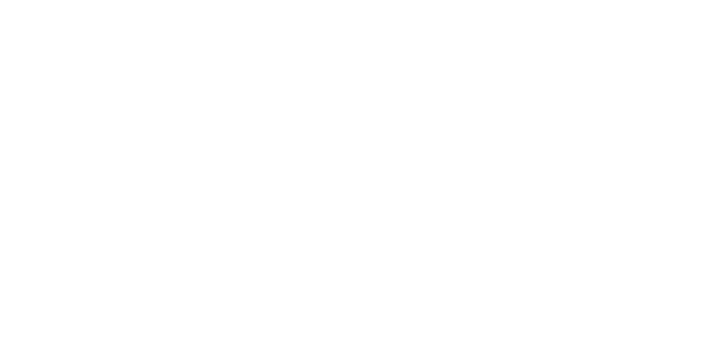 Nobody's Child White logo