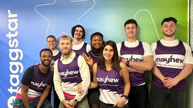 Taggstar team members with Mayhew Animal charity t shirts